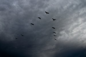 IMG_9016