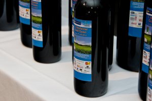 IMG_9272
